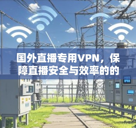 国外直播专用VPN,保障直播安全与效率的的关键工具