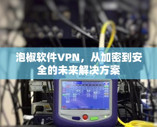 泡椒软件VPN,从加密到安全的未来解决方案