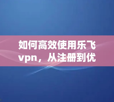 如何高效使用乐飞vpn，从注册到优化与故障排查