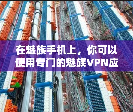 在魅族手机上,你可以使用专门的魅族VPN应用来进行VPN服务。这个应用通常集成在手机上,方便用户使用。以下是具体的步骤和注意事项