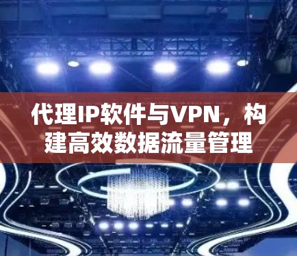 代理IP软件与VPN，构建高效数据流量管理平台