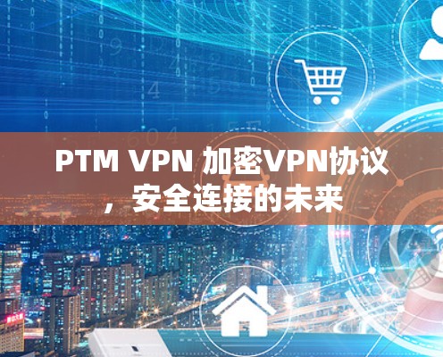 PTM VPN 加密VPN协议，安全连接的未来