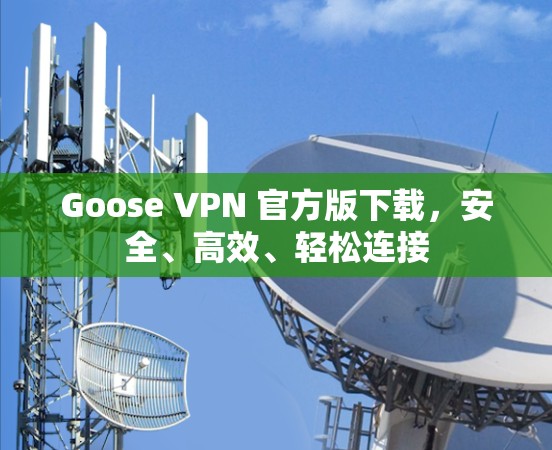 Goose VPN 官方版下载，安全、高效、轻松连接