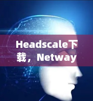 Headscale下载，Netway的未来挑战与解决方案