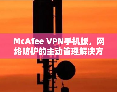 McAfee VPN手机版，网络防护的主动管理解决方案