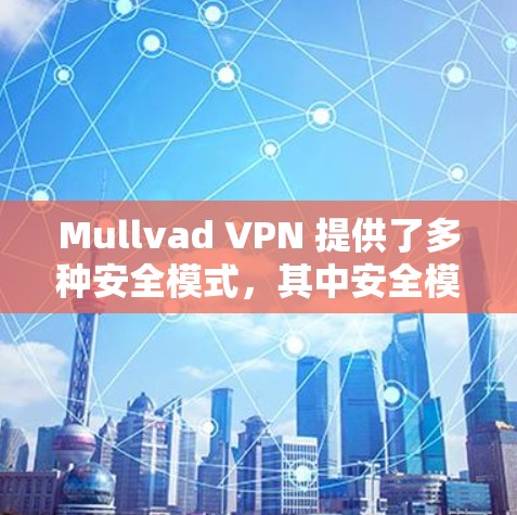 Mullvad VPN 提供了多种安全模式,其中安全模式(Mullvad VPN的安全模式)提供了更严格和全面的网络访问控制。以下是安全模式的详细功能介绍