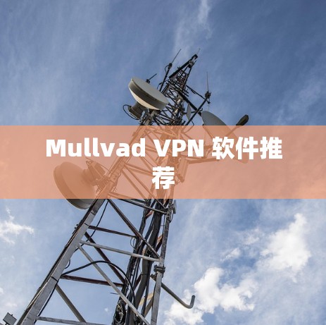 Mullvad VPN 软件推荐