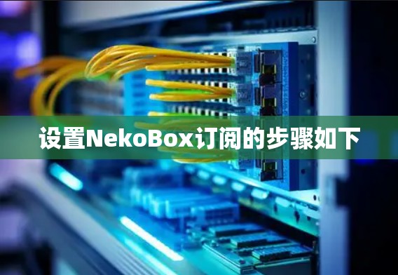 设置NekoBox订阅的步骤如下