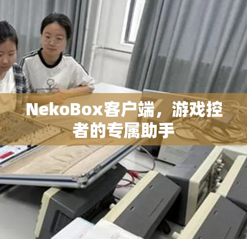 NekoBox客户端，游戏控者的专属助手