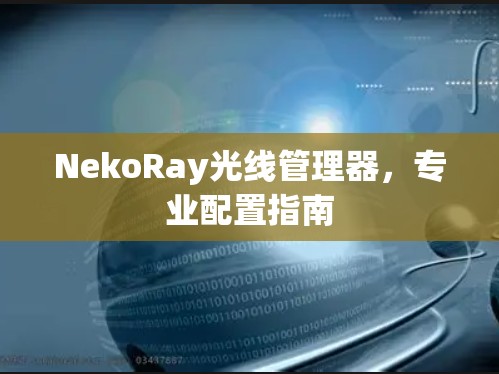 NekoRay光线管理器，专业配置指南
