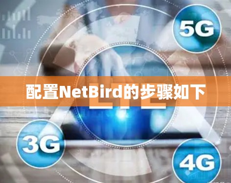配置NetBird的步骤如下