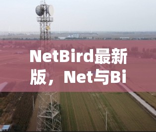 NetBird最新版,Net与Bird的相遇—你的新邻居来了!