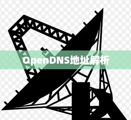 OpenDNS地址解析