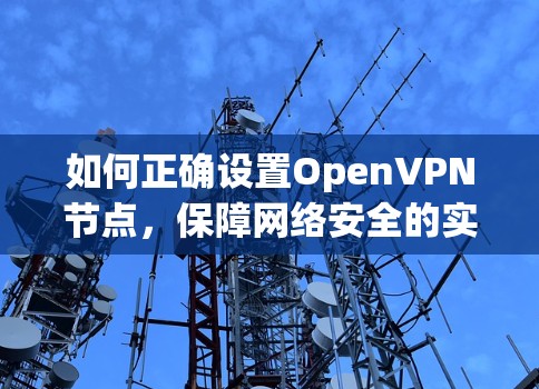 如何正确设置OpenVPN节点,保障网络安全的实用指南