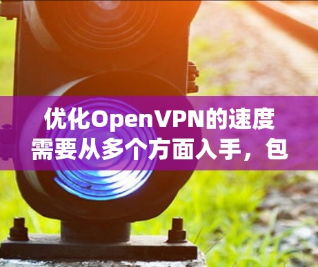 优化OpenVPN的速度需要从多个方面入手，包括端口设置、端口管理、网络稳定性、带宽优化、防火墙配置以及定期监控。以下是针对这些问题的优化方法和步骤