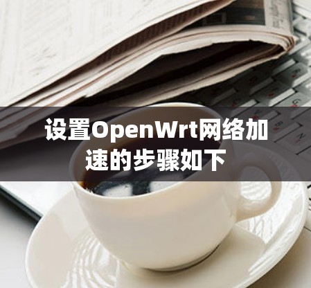 设置OpenWrt网络加速的步骤如下