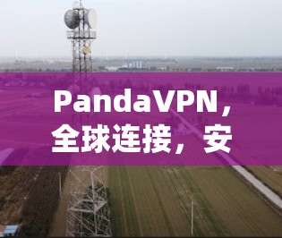 PandaVPN，全球连接，安全无痕，轻松上网