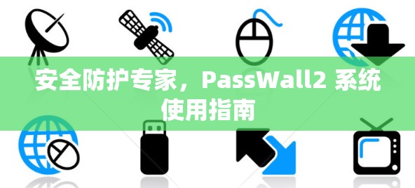 安全防护专家，PassWall2 系统使用指南