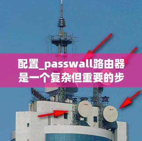 配置_passwall路由器是一个复杂但重要的步骤，需要遵循以下步骤以确保防火墙和Passwall的高效和安全运行。以下是详细的步骤指南