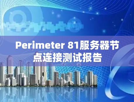 Perimeter 81服务器节点连接测试报告