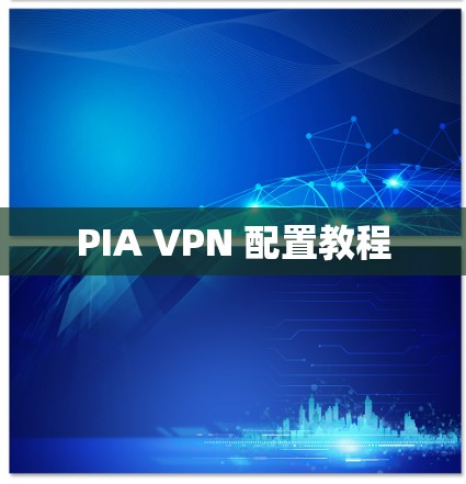 PIA VPN 配置教程