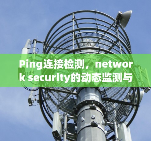 Ping连接检测,network security的动态监测与持续优化