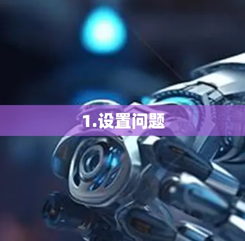 1.设置问题