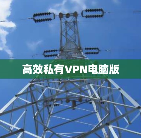 高效私有VPN电脑版
