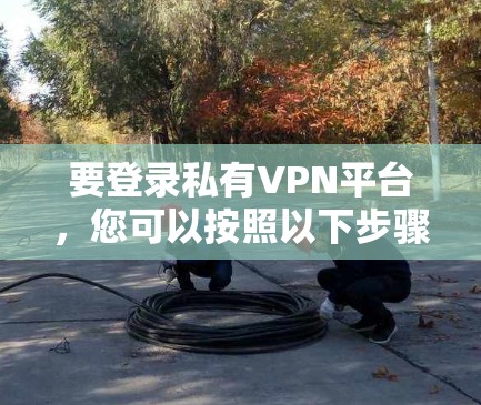 要登录私有VPN平台,您可以按照以下步骤操作