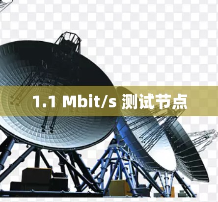 1.1 Mbit/s 测试节点