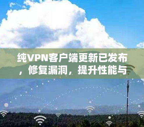 纯VPN客户端更新已发布,修复漏洞,提升性能与安全