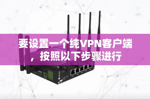要设置一个纯VPN客户端,按照以下步骤进行