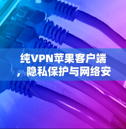 纯VPN苹果客户端，隐私保护与网络安全的深度探索